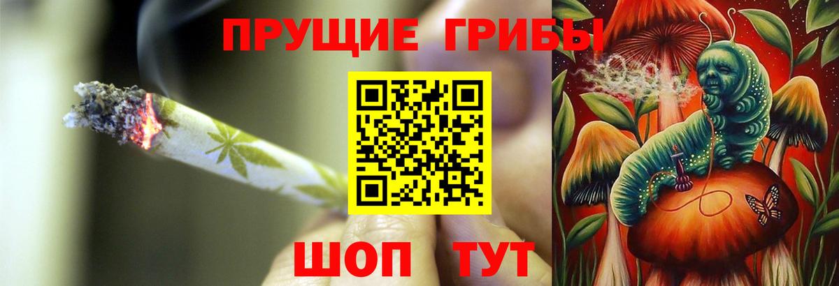 Псилоцибиновые грибы Psilocybine cubensis Троицк